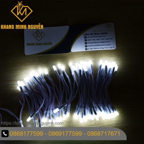 Đèn led ruồi 5V - 5mm - chống nước làm bảng hiệu, hộp đèn