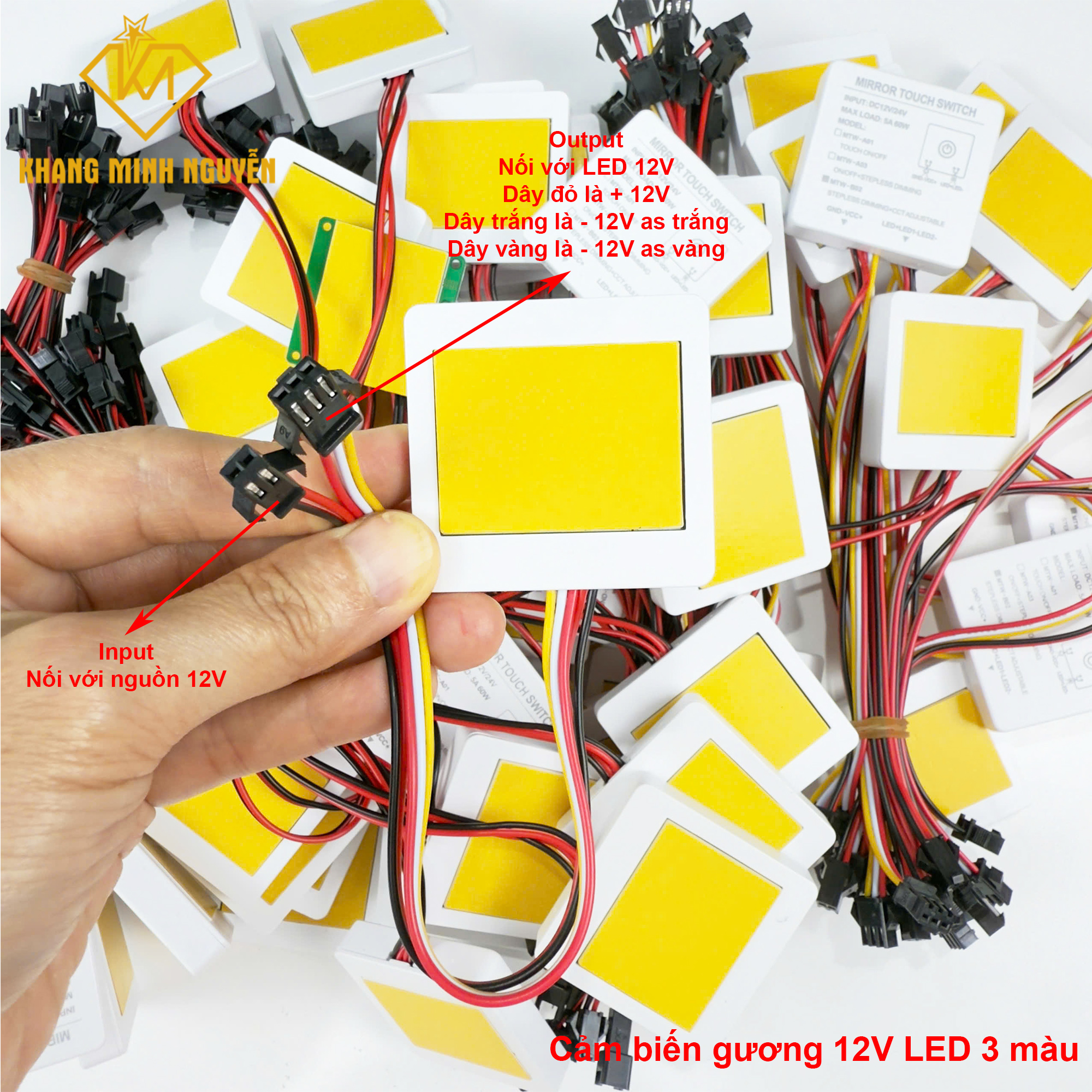 CBG-3-mau-2.jpg