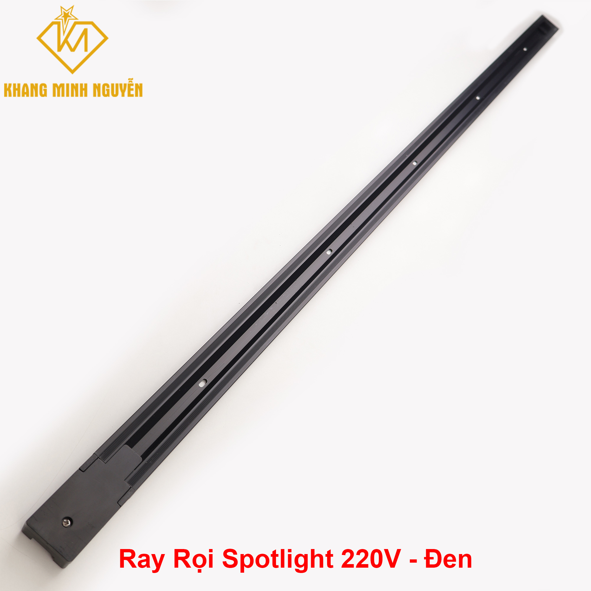 Ray-roi-D.jpg