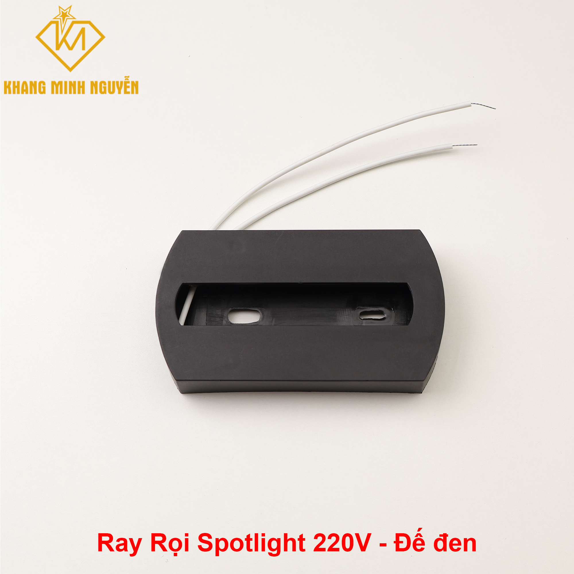 Ray-roi-De-D.jpg