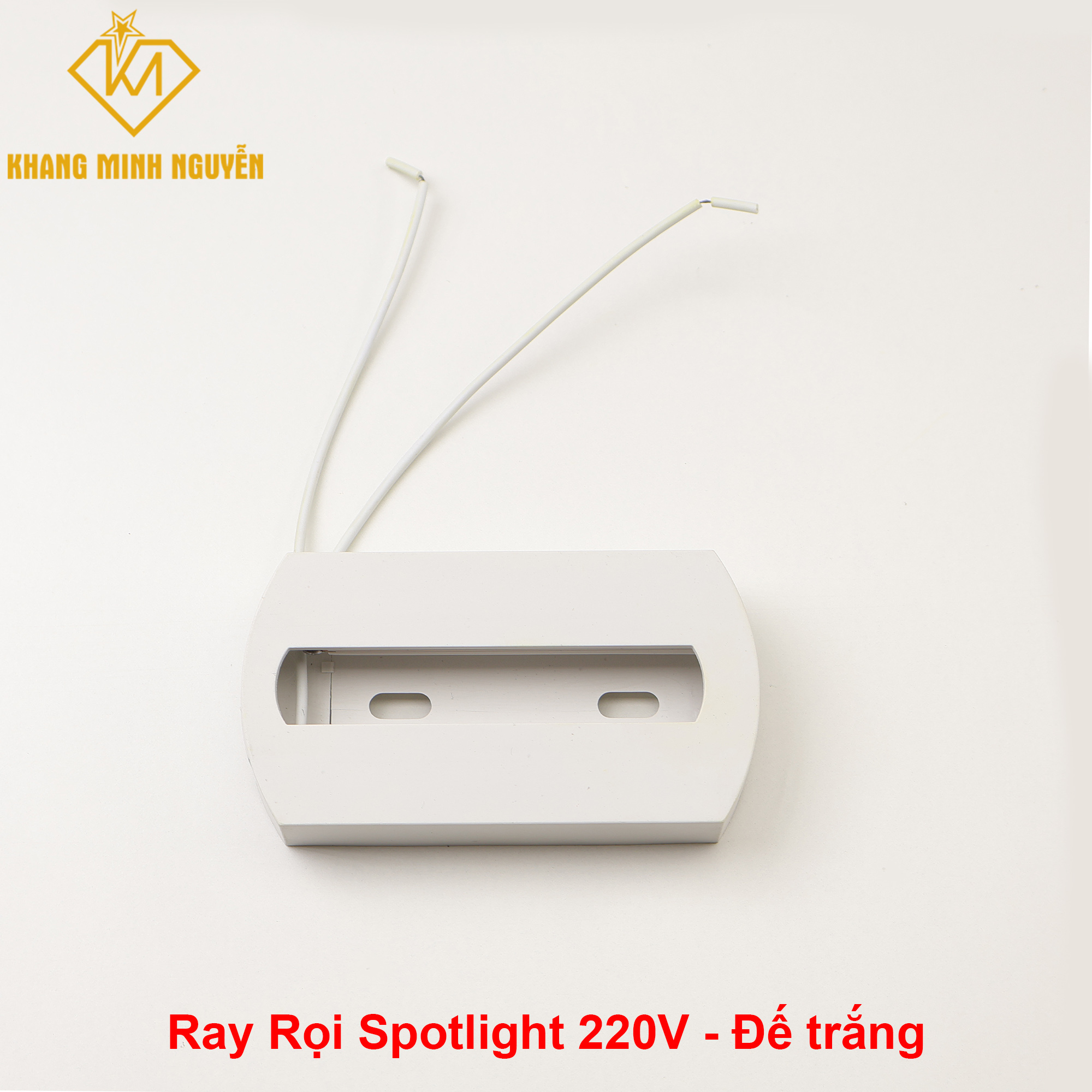 Ray-roi-De-T.jpg