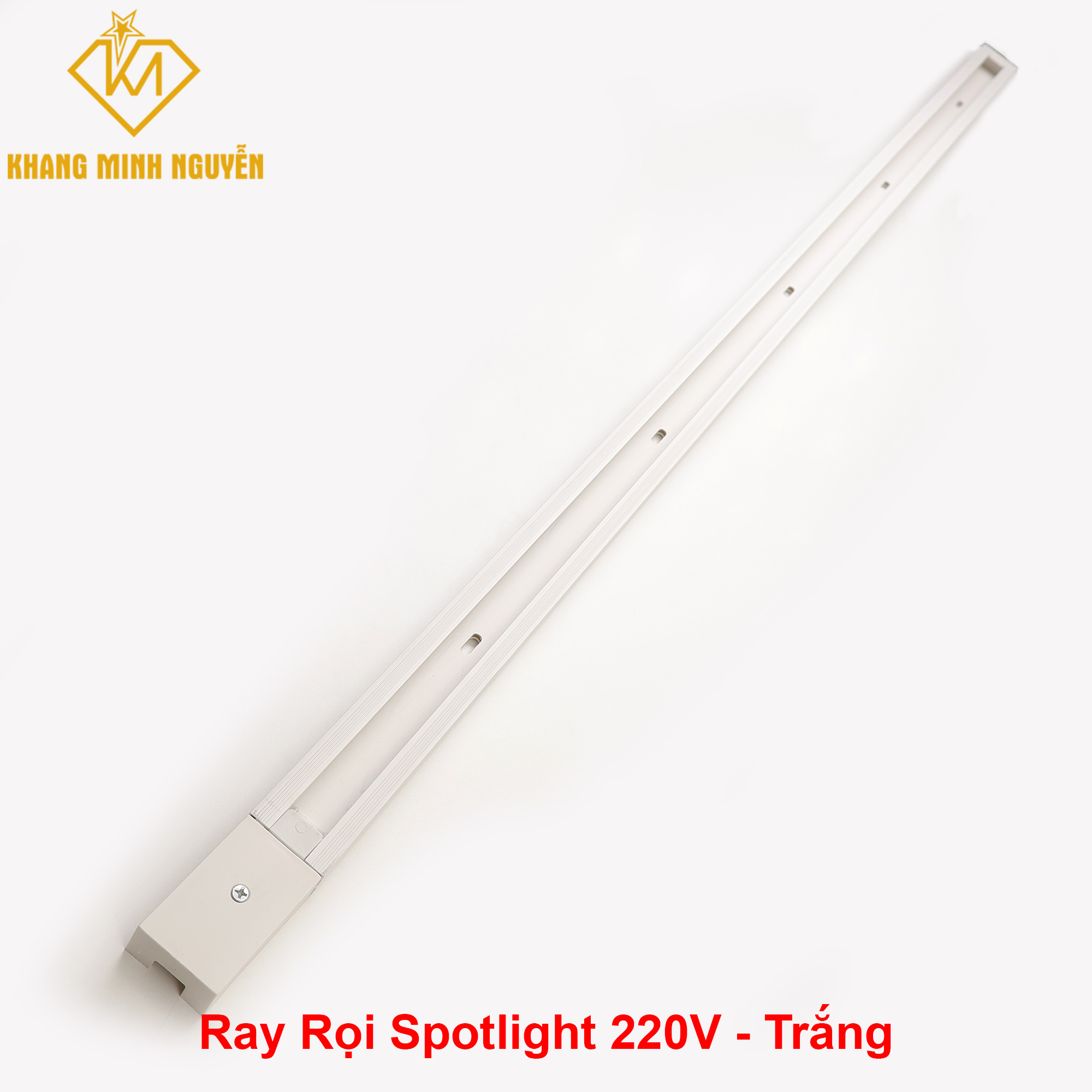 Ray-roi-T.jpg